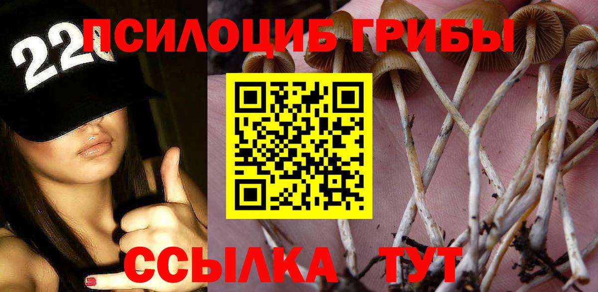 Псилоцибиновые грибы прущие грибы  Вход с VPN  Псилоцибиновые грибы Magic Shrooms  где можно купить наркотик  Тулун 