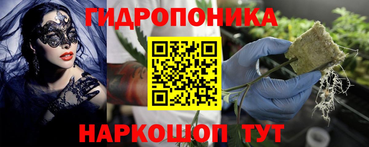 Каннабис OG Kush  Канабис план  Вход с VPN  Тулун 